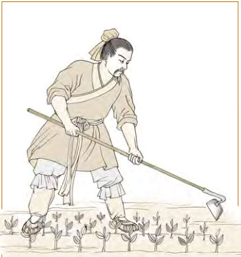 ţģ޾̡