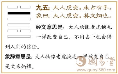 革卦第五爻，爻辞：九五：大人虎变，未占有孚。