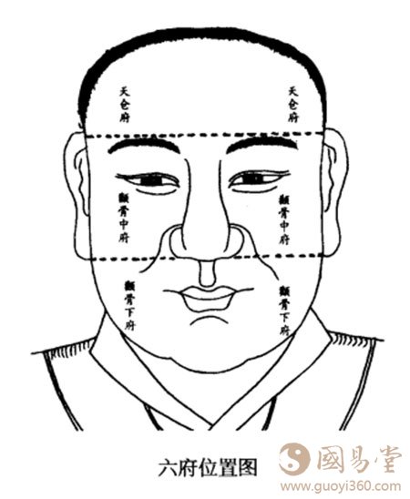 面相学六府理论