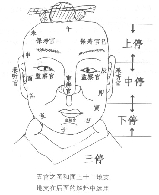 面相学五官三停，面相三停解析