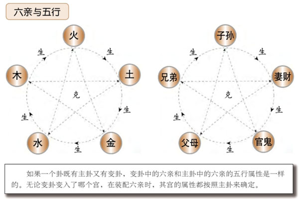 六爻中六亲与五行的相配