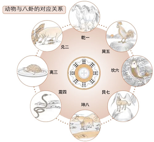 梅花易数占法：动物与静物的占法