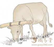 大畜卦第四爻，爻辞：六四：童牛之牿，元吉。
