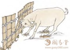 大壮卦第六爻，爻辞：上六：羝羊触藩，不能退