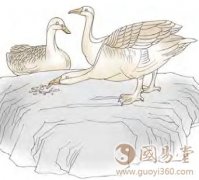 渐卦第二爻，爻辞：六二：鸿渐于磐，饮食桁桁