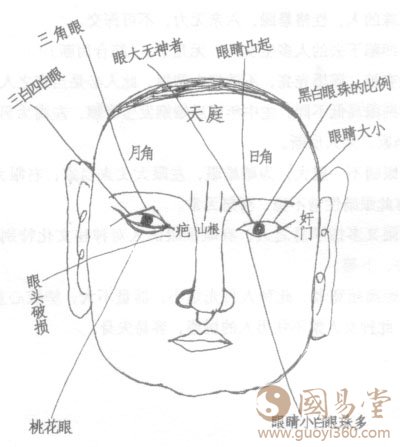 眼睛面相图解