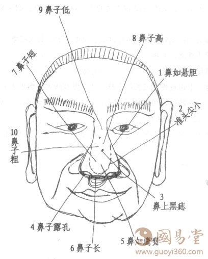 面相鼻子图解