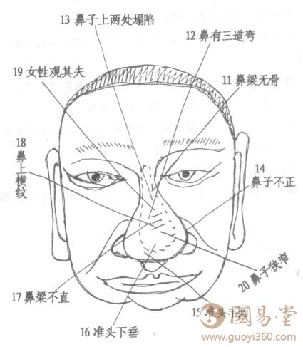 男人面相鼻子图解