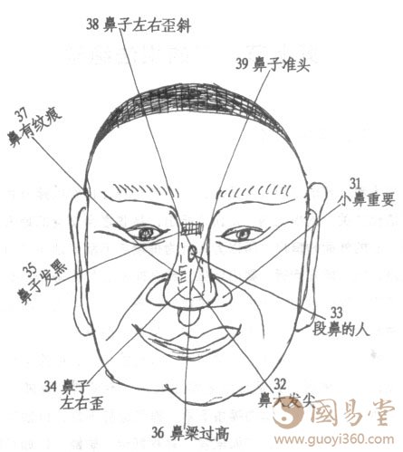 面相学鼻子图解大全