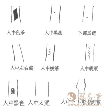 面相人中种类