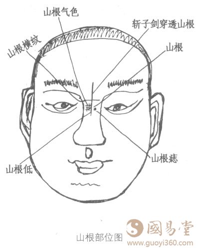 面相图解山根，山根相法绝学