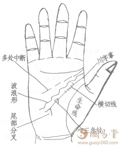 智慧线的起点、波浪纹、三角纹、中断者图解