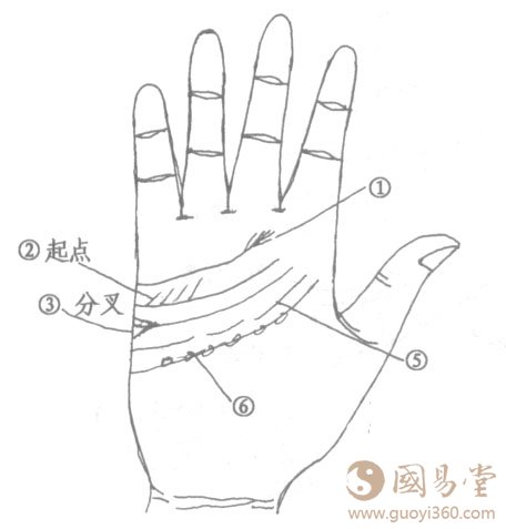 感情线短、双重感情线、感情线断了、感情线断断续续