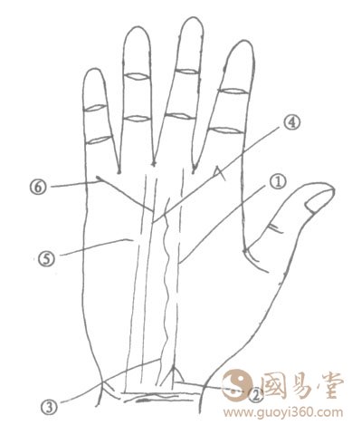 手相命运线断裂、命运线分叉