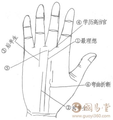 手相命运线（也称玉柱线）的相法总论