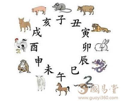 十二生肖与八卦奥秘
